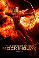The Hunger Games: Mockingjay - Part 2 (2015) The Hunger Games: Mockingjay - Part 2 (2015)